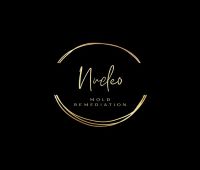 Nucleo Mold Remediation - Mold Testing Services